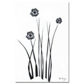 Trademark Fine Art Kathie McCurdy 'Black and White Bunch' Canvas Art, 16x24 KM091-C1624GG